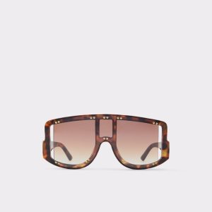 Lentes De Sol Aldo Javabriclya Shield Marrom | 06OATLUFX
