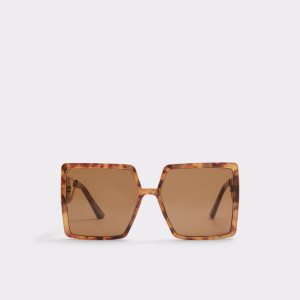 Lentes De Sol Aldo Ybaledia Square Marrom | 14PYTQAVW